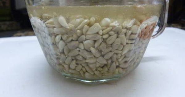 Queso Untable De Girasol Vegano Receta De Julieta Luján Receta Queso Vegetariano Vegano Recetas Veganas<script async src=
