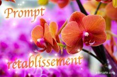 Souhaitez Un Bon Retablissement Avec De Jolies Cartes De Voeux Gratuites Prompt Retablissement Cartes Bon Retablissement Jolie Carte De Voeux Souhaitez Un Bon Retablissement Avec De Jolies Cartes De Voeux Gratuites Prompt Retablissement Cartes Bon Retablissement Jolie Carte De Voeux