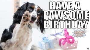 Send Free Birthday Cards For Everyone To Loved Ones On Birthday