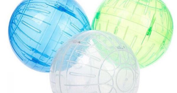 The Great Hamster Ball Race Clogg Vs Bemipu Youtube