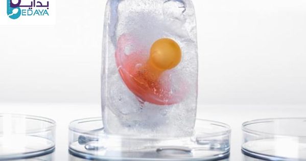 الحركة بعد ترجيع الاجنة المجمدة Life Nutribullet Blender Cell