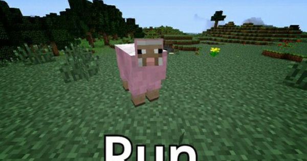 Pink sheep number five billion something something something something. explodingtnt video games, funny #memes, … | Pink sheep, Minecraft memes, Minecraft games