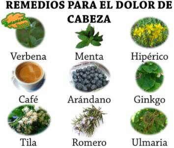 Plantas Medicinales Y Remedios Para El Dolor De Cabeza Remedios