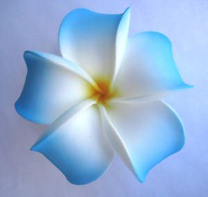 NEW Hawaiian Bridal Wedding Party Foam 2-Flower Hair Clip Blue White Plumeria
