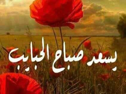 Pin By Hala Badr On صباح الخير Good Morning Good Morning Flowers Good Morning Beautiful Images Good Morning Greetings