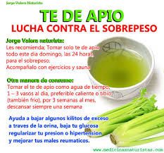 Hojas medicinales para bajar de peso