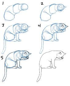 How To Draw A Cat Animal Drawings Drawing Techniques Cat Drawing