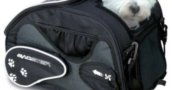 So Gizmo Can Come Riding With Me Lol Bagster Baglux Friendy