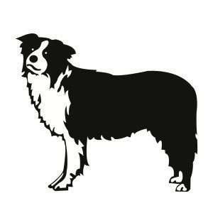 Download Free Svg File Border Collie Border Collie Collie Border Collie Dog