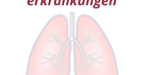 sind sie als heilpraktiker oder betroffener an weiteren informationen interessiert dann lade ich sie herzlich ei lerntechniken lernen ganzheitliche gesundheit