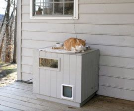 Fancy Digs For Ferals The Humane Society Of The United States Feral Cat Shelter Feral Cats Feral Cat House
