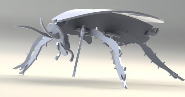 Cockroach Palmetto Bug Wood Craft Puzzle Bugs 3d Model Puzzle
