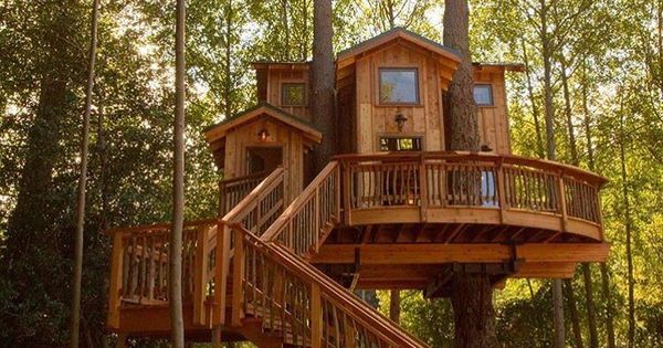 tree house shanecrobinson treehouseclub tree house designs tree house tree house diy