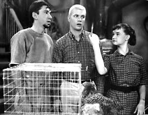 Dobie Gillis And His Lovable Beatnik Sidekick Maynard G Krebs Classic Tv Old Tv Shows Dwayne Hickman