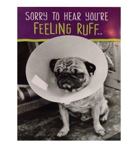Pug Get Well Soon Card At Www Ilovepugs Co Uk Post Worldwide