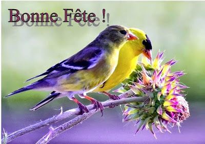 Epingle Sur Bonne Fete Epingle Sur Bonne Fete