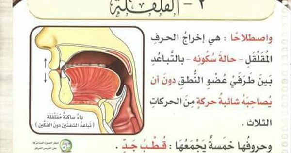تعريف القلقلة Pendidikan