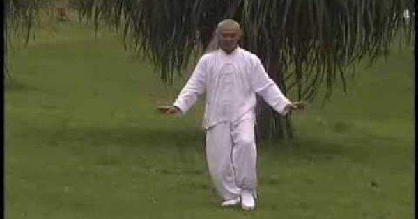 Demonstration By Qigong Master Alex Lim Qigong Chi Kung Is The Grandfather Of A Number Of Chinese Therapies Including Qigong Tai Chi Exercise Tai Chi Qigong