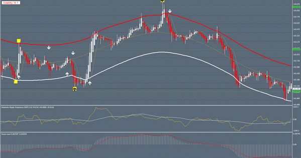 Forex tmgm reputation