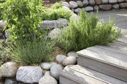 Creating A Herb Garden Spring Is The Best Time Krautergarten Anlegen Garten Diy Garten