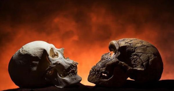 penis la neandertali de ce erecția nu durează