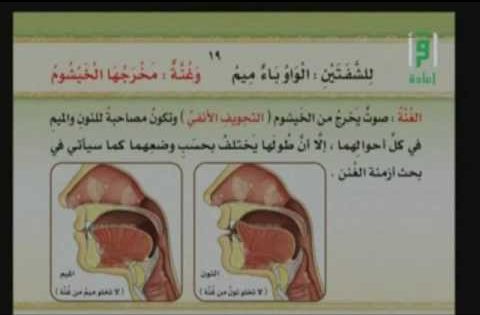 Pin By Iseeniya Dimah On للتفسير الميسر Math Math Equations Sly