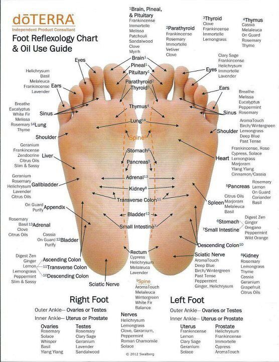 pin on doterra reflexology foot chart top of foot