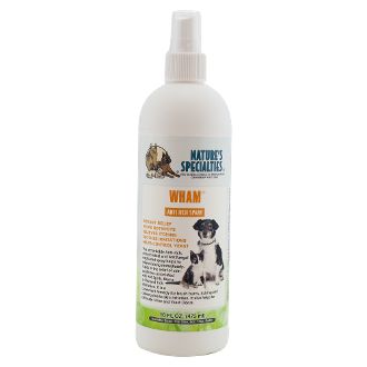 Best Remedy For Hotspots On Dogs Best Remedy For Hotspots On Dogs