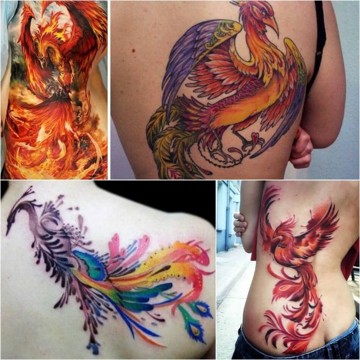 Tattoo phönix frau