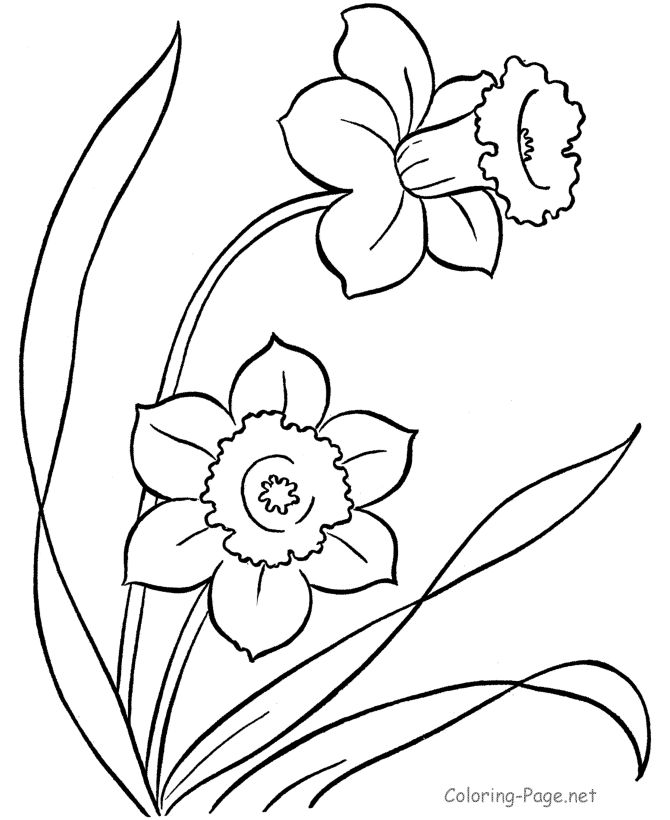 2227 best coloring pages images on Pinterest Coloring books - copy coloring pages flowers and butterflies 2227 best coloring pages images on Pinterest Coloring books - copy coloring pages flowers and butterflies