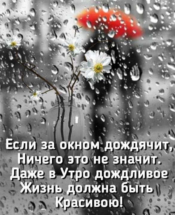 хочешь смешные картинки про хмурое утро беседе