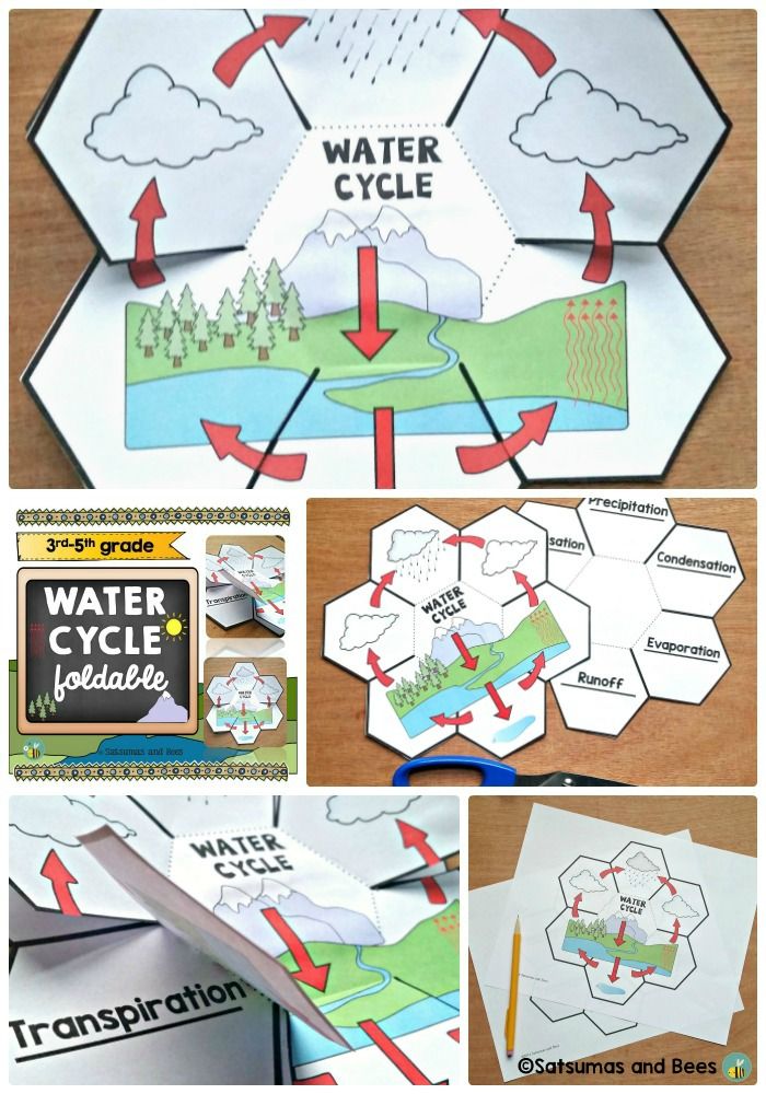 third grade classrooms and foldables From the foldable how to teach area to third grade students stover, elizabeth 4th grade classroom activities on polygons. third grade classrooms and foldables From the foldable how to teach area to third grade students stover, elizabeth 4th grade classroom activities on polygons.
