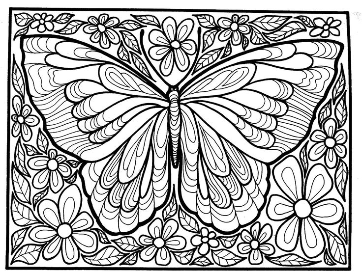 85 best butterfly coloring pages images on Pinterest Butterflies - copy coloring pages flowers and butterflies 85 best butterfly coloring pages images on Pinterest Butterflies - copy coloring pages flowers and butterflies