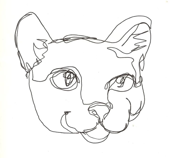 Meaning Contour Line Drawing : Best desenho de contorno cego images on pinterest