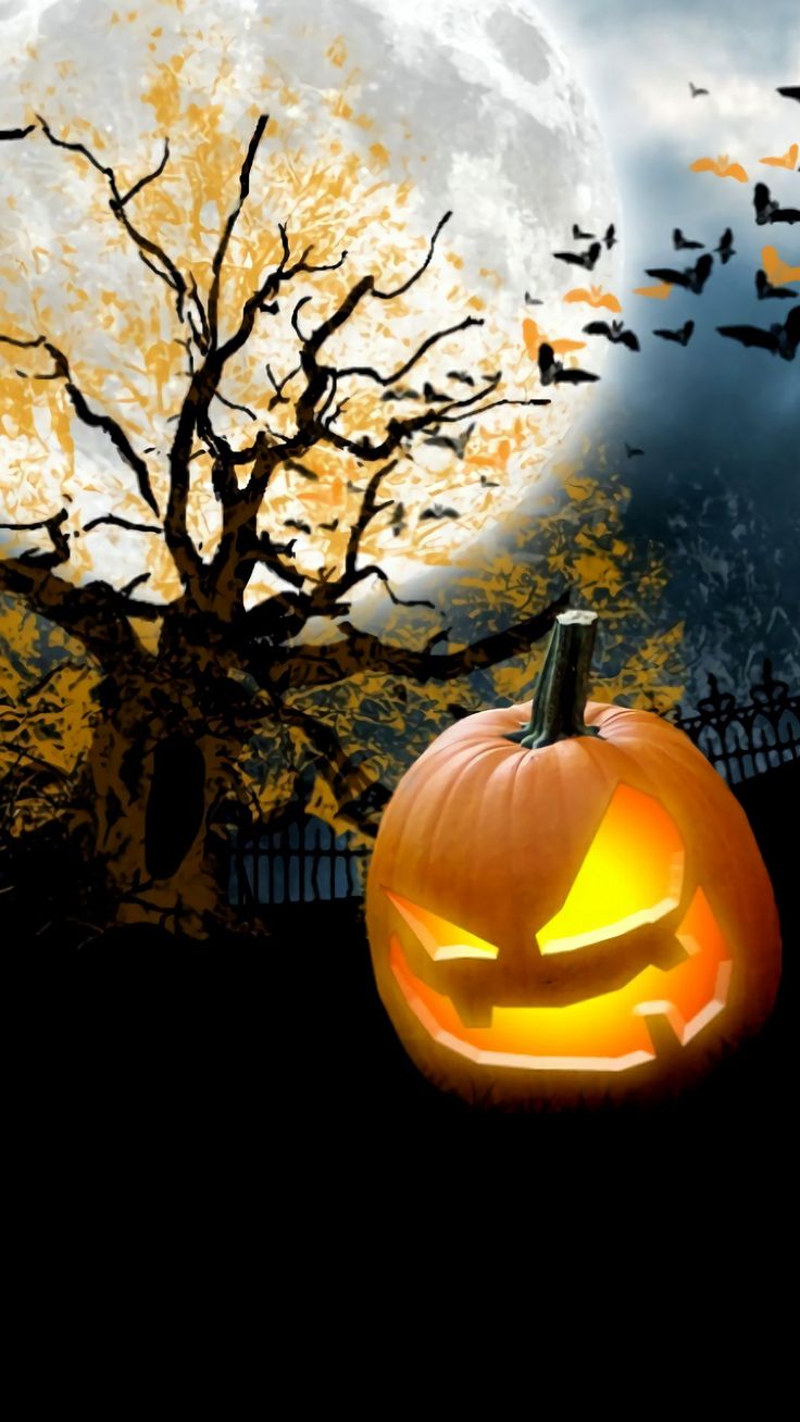 355 best halloween wallpapers images on pinterest halloween - Where Did The Holiday Halloween Come From 355 best halloween wallpapers images on pinterest halloween - Where Did The Holiday Halloween Come From