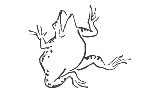 甲巻 ページ 3 ダ鳥獣戯画 鳥獣戯画 カエルアート 戯画 甲巻 ページ 3 ダ鳥獣戯画 鳥獣戯画 カエルアート 戯画