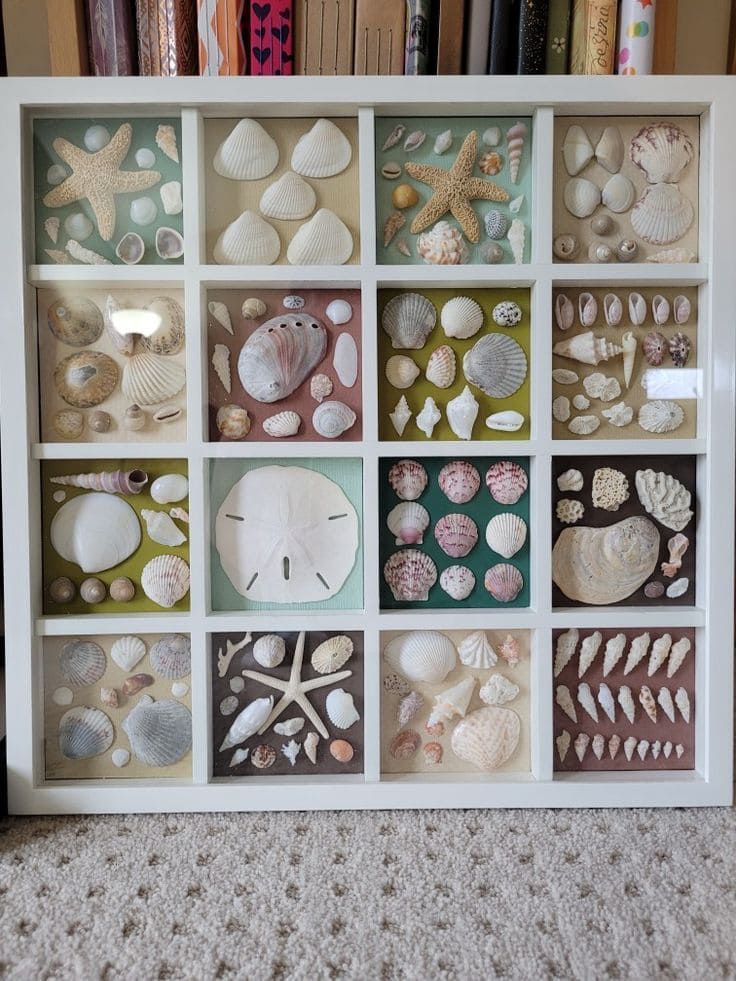25 Unique DIY Seashell Ideas To Beautify Your Home Decor Lava Home 0071c1f5a2f1b55c606f528ac8611525