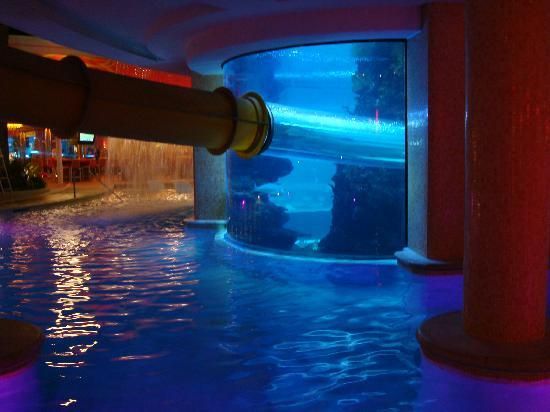 Cool Swimming Pools With Slides 206 best cool swimming pools images on pinterest Cool Swimming Pools With Slides 206 best cool swimming pools images on pinterest