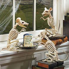 halloween skeleton decorations spooky indoor party bone colored rat figure prop in collectibles holiday seasonal halloween current props