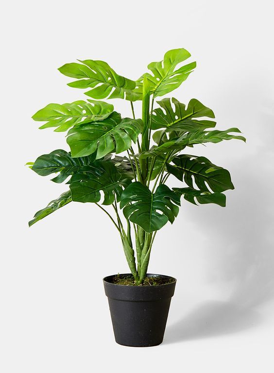 18 Ornamental Artificial Houseplants That Look Almost Real 18 Ornamental Artificial Houseplants That Look Almost Real