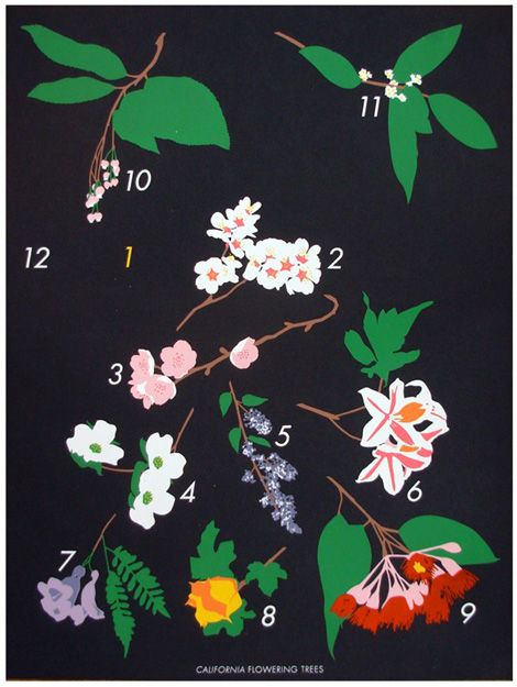 Ca calendrier fleur d'arbre fruitier