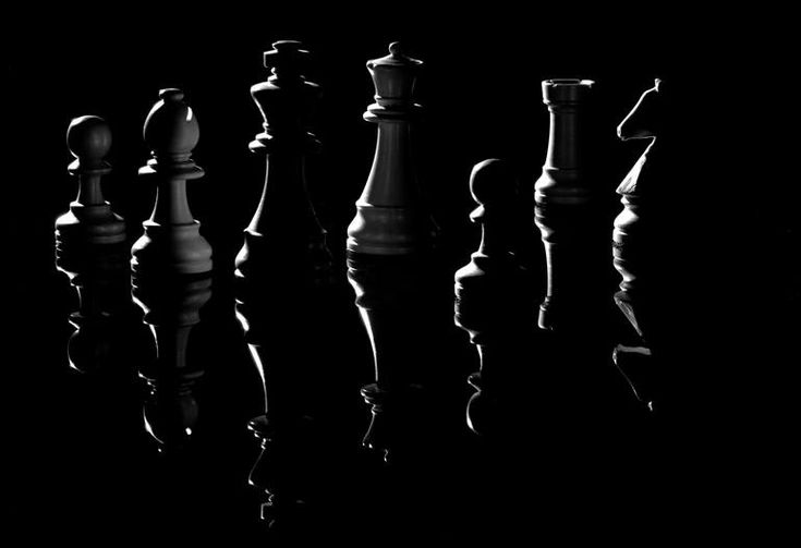 the chess player zweig the chess player zweig