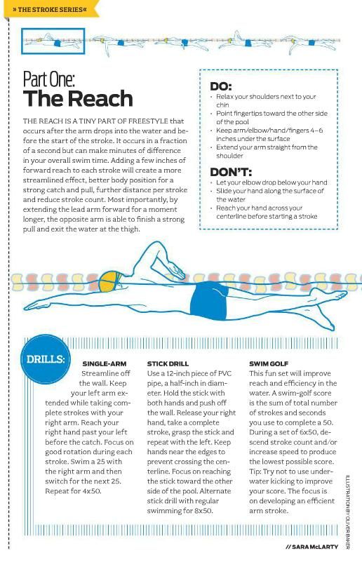 234 best swimming images on pinterest swimming tips swimming proper freestyle form