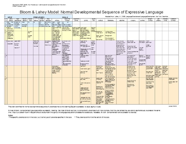 Developmental order essay