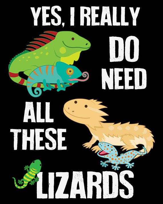Bearded Dragon - Grunt iPhone 11 case Bearded Dragon - Grunt iPhone 11 case
