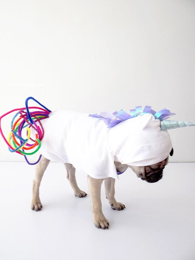 Halloween Dog Costume 3 Instructions For Unicorn Costume And 20