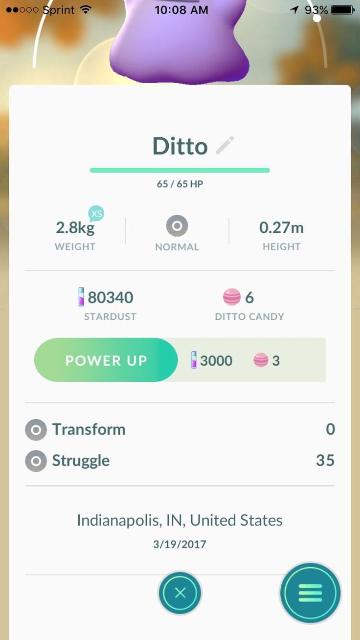 Caught a Hoothoot today turned into a Ditto. Pokemon go