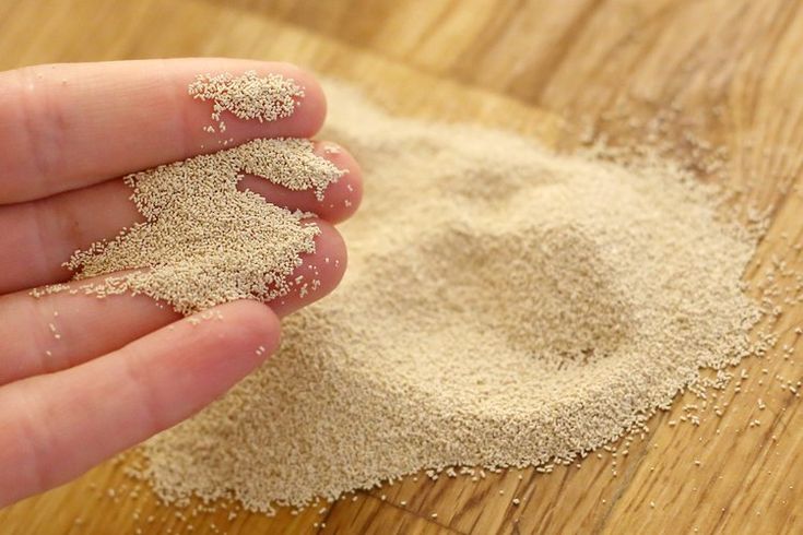 Two Common Types Of Yeast That People Use At Home To Make Bread And two-common-types-of-yeast-that-people-use-at-home-to-make-bread-and