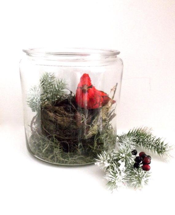 Large Decorative Jars Interesting Best 25 Large Glass Jars Ideas On Pinterest Glass Canisters Decorating Inspiration Large Decorative Jars Simple Best 25 Large Glass Jars Ideas On Pinterest Glass Canisters Inspiration