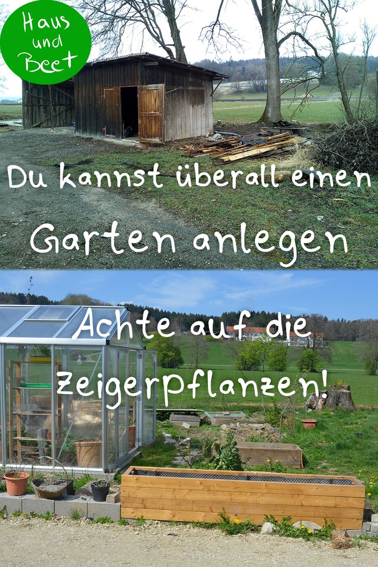 Verwildeter Garten? So fängst du an! Du kannst aus jedem Grundstück deinen eig...
